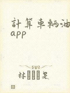 计算车辆油耗的app