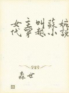 女主叫苏婉的古代穿越小说