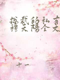 总裁的私有宝贝穆天阳全文免费