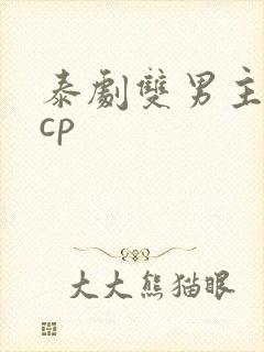 泰剧双男主腐剧cp
