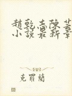 赵乾志陈芸穿越小说最新章节列表