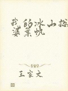 我的冰山总裁老婆叶帆