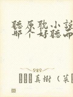 听原耽小说软件哪个好听而且免费