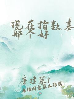 现在指数基金买哪个好