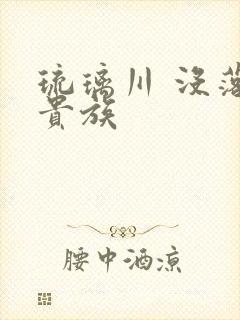 琉璃川 没落的贵族