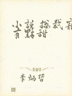 小说 总裁宠妻有点甜