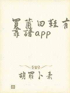 买莆田鞋有没有靠谱app