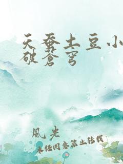 天蚕土豆小说斗破苍穹