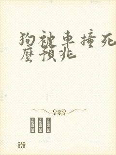 狗被车撞死有什么预兆