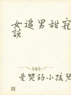 女追男甜宠文小说