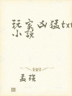玩家凶猛txt小说