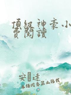 顶级神豪小说免费阅读