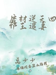 废材逆天四小姐邪王追妻