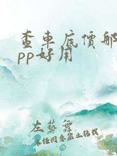 查车底价那个app好用