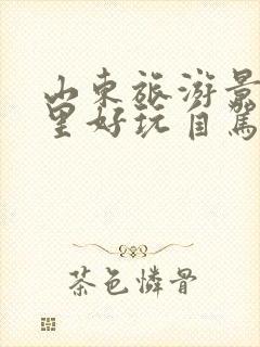 山东旅游景区哪里好玩自驾游