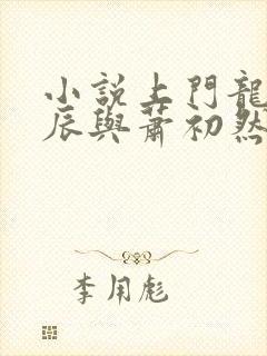 小说上门龙婿叶辰与萧初然