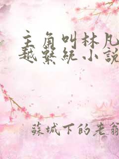 主角叫林凡的穿越系统小说