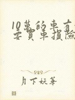10万的车有必要买车损险吗