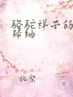 骆驼祥子的总结归纳