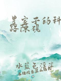 农家子的科举之路陈砚