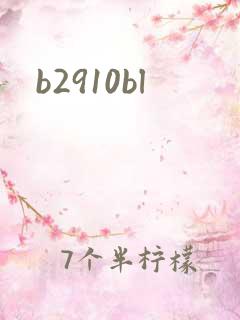 b2910bl