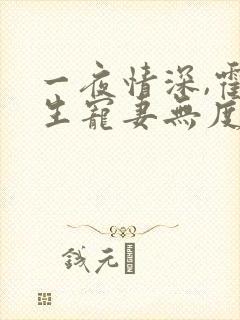 一夜情深,霍先生宠妻无度全集小说