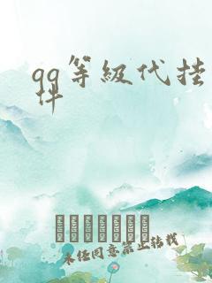 qq等级代挂软件