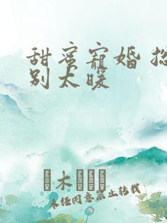 甜蜜宠婚 总裁别太暖