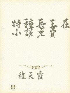 特种兵王在山村小说免费