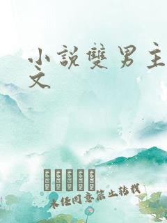 小说双男主电竞文
