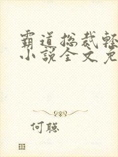 霸道总裁轻点宠小说全文免费阅读