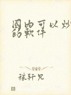 国内可以炒美股的软件