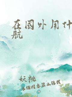 在国外用什么导航