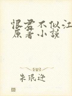 恨君不似江楼月原著小说