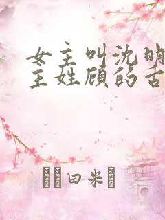 女主叫沈明珠男主姓顾的古代小说