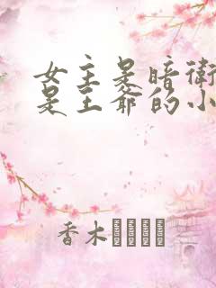 女主是暗卫男主是王爷的小说