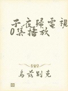 子夜归电视剧40集播放