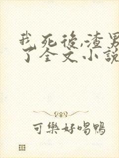 我死后,渣男疯了全文小说