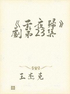 《子夜归》电视剧第23集