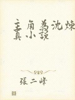 主角为沈炼的修真小说