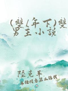(双/年下)双男主小说