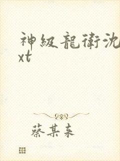 神级龙卫沈浪txt