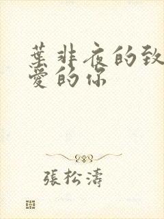 叶非夜的致我最爱的你
