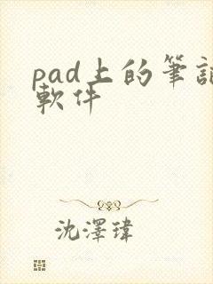 pad上的笔记软件