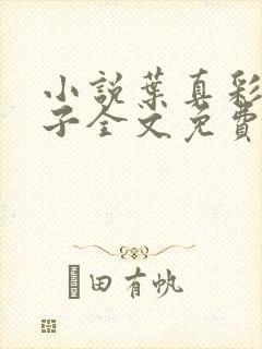 小说叶真彩衣仙子全文免费阅读