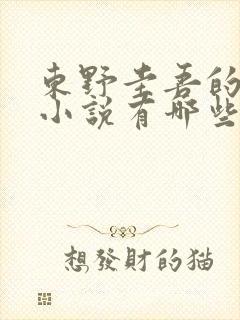 东野圭吾的长篇小说有哪些