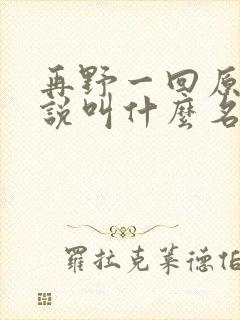 再野一回原著小说叫什么名字