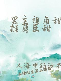 男主视角甜宠文推荐巨甜