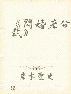 《闪婚老公是总裁》