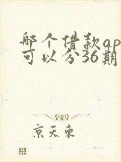 哪个借款app可以分36期
